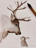 Hirsch & Hase