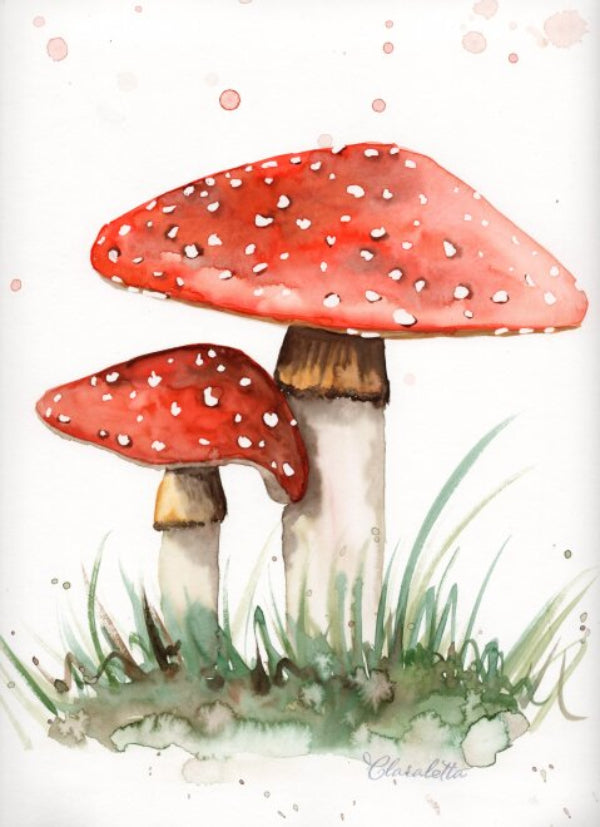Fliegenpilz