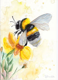 Hummel