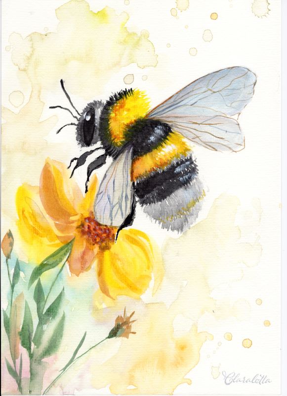 Hummel