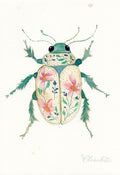 Käfer