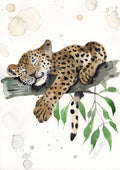 kleiner Leo