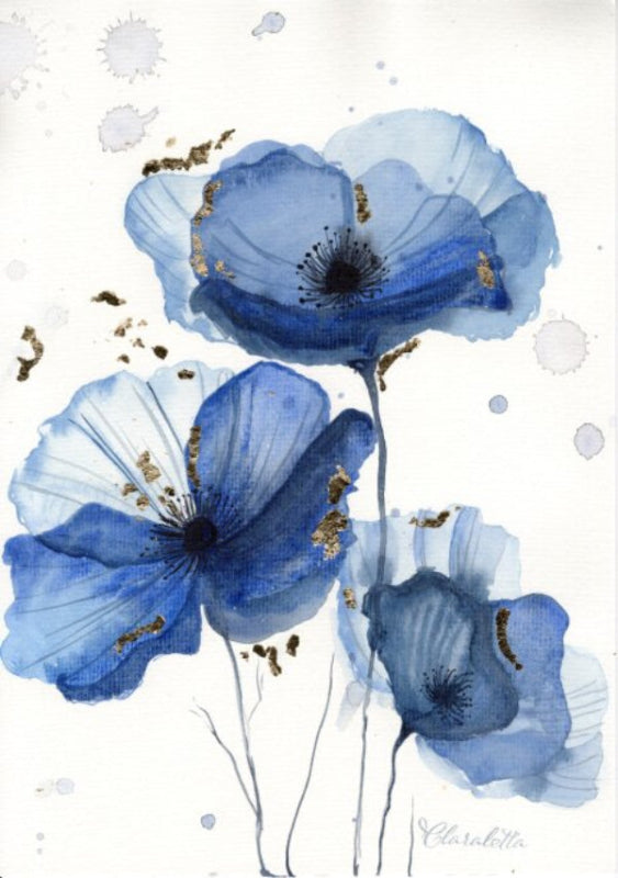 blauer Himalaya Mohn