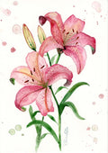 Lilien