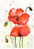 Mohnblumen