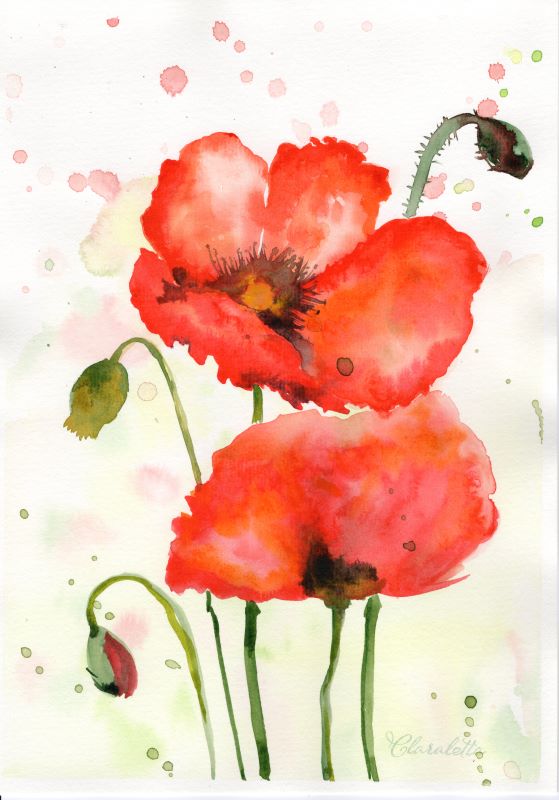 Mohnblumen