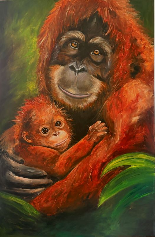 Orangutan