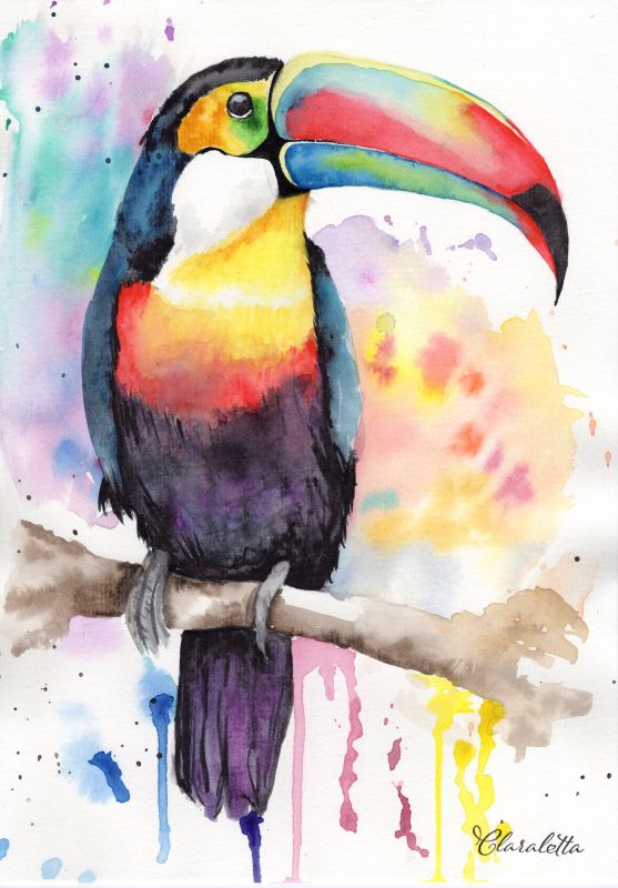 Tucan