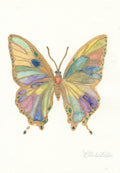 Schmetterling