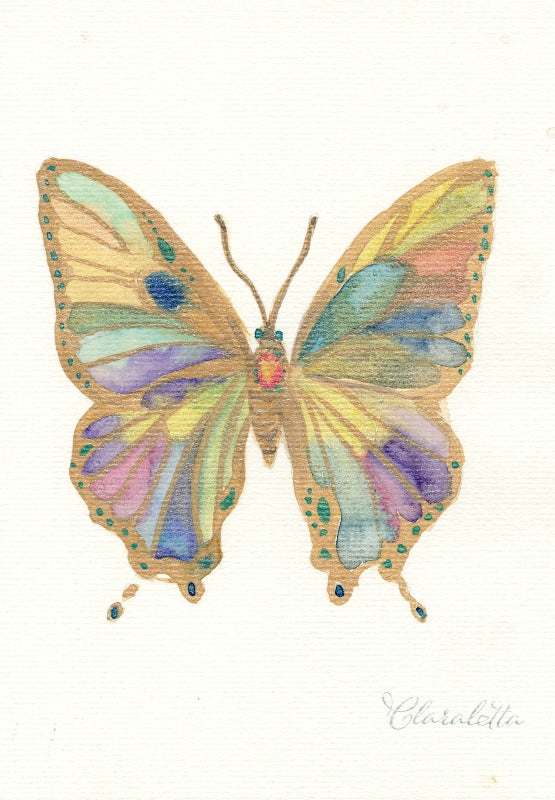 Schmetterling